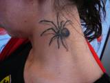 tetovaní pavouk