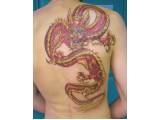 Japonský drak - tetování
