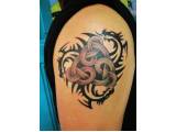 tetování ornamenty drak hradéc kralové