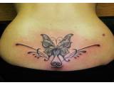 tetovaní na zada motyl