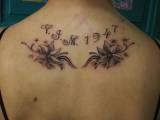 tetovani hradec kralove,tetovaní na zada kvet