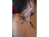 tetováni pavouk