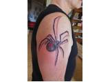 tetování pavouk