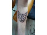 tattoo kočka