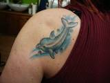 tetování delfín